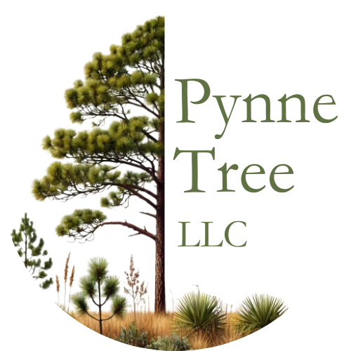 Pynne Tree LLC